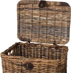 Fastrider Sera Rotan Fietsmand - Bruin - 26L - Handgemaakt - Met Klep 10 Fastrider Sera Rotan Fietsmand - Bruin - 26L - Handgemaakt - Met Klep -BASIL Verkoop 1165x1200 4