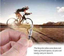 Merkloos Frans Ventiel - Fietsventiel - Banden Pompen - 2 Stuks -BASIL Verkoop 1200x1052 4