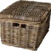 Fastrider Sera Rotan Fietsmand - Naturel - 26L - Handgemaakt - Met Klep -BASIL Verkoop 1200x1139 6