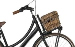 Fastrider Sera Rotan Fietsmand - Bruin - 8L - Handgemaakt - Met Klep -BASIL Verkoop 1200x753 4