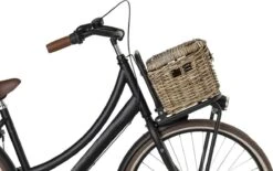 Fastrider Sera Rotan Fietsmand - Naturel - 8L - Handgemaakt - Met Klep -BASIL Verkoop 1200x753 5