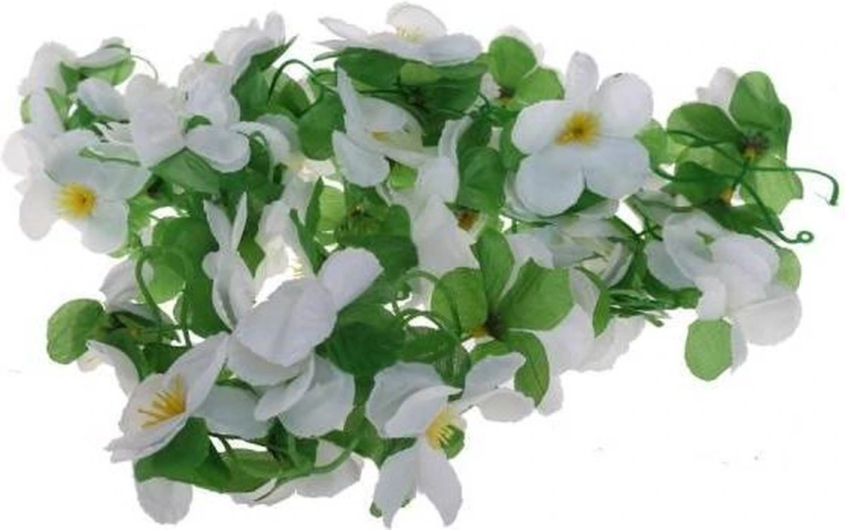 Basil Flower Garland Bloemenstreng - Wit 2 Basil Flower Garland Bloemenstreng - Wit - Afbeelding 2