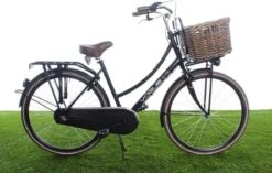 New Looxs Brisbane Large Fietsmand Voordrager - 39 Liter - Rotan - Bruin -BASIL Verkoop 1200x763 9