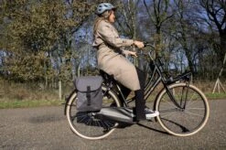 Ekostar® Online Shopping - Dubbele Fietstas - Donker En Licht Grijs - Waterafstotend - Fietstas - 34 Liter - Fietstassen Elektrische Fietsen -BASIL Verkoop 1200x799 38