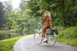 New Looxs Forest Joli Dubbele Fietstas - 37 Liter - Antraciet -BASIL Verkoop 1200x799 72