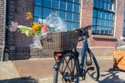 Fastrider Sverre - Achterdrager Fietsmand - Kunststof Riet - 30 Liter - Bruin -BASIL Verkoop 1200x800 180