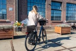 Fastrider Sverre - Achterdrager Fietsmand - Kunststof Riet - 30 Liter - Bruin -BASIL Verkoop 1200x800 181