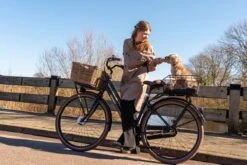 Fastrider Olav Fietsmand Voor Achterdrager - Inclusief Bevestiging - 25 Liter - Metaal - Zwart -BASIL Verkoop 1200x800 195