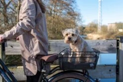 Fastrider Olav Fietsmand Voor Achterdrager - Inclusief Bevestiging - 25 Liter - Metaal - Zwart -BASIL Verkoop 1200x800 196