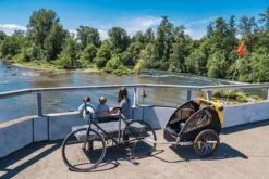 Burley Bee Double Kinderfietskar - Twee Kinderen 21 Burley Bee Double Kinderfietskar - Twee Kinderen -BASIL Verkoop 1200x800 217