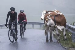 Rogelli Essential Winterjack - Fietsjack Heren - Zwart - Maat 2XL -BASIL Verkoop 1200x800 306