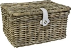 Fastrider Sera Rotan Fietsmand - Naturel - 26L - Handgemaakt - Met Klep -BASIL Verkoop 1200x816 5