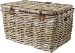 Fastrider Sera Medium Met Klep Mand Rotan Naturel - 17L 14 Fastrider Sera Medium Met Klep Mand Rotan Naturel - 17L -BASIL Verkoop 1200x861 5