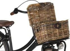 Fastrider Sera Rotan Fietsmand - Bruin - 8L - Handgemaakt - Met Klep -BASIL Verkoop 1200x875 6