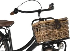 Fastrider Sera Rotan Fietsmand - Bruin - 8L - Handgemaakt - Met Klep -BASIL Verkoop 1200x878 7