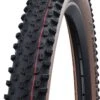 Schwalbe Buitenband Racing Ray 29 X 2.25 Inch (57-622) Zwart -BASIL Verkoop 746x1200 1