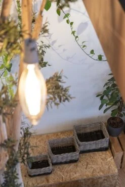 Fastrider Nero Rotan Fietsmand - Naturel - 26L - Handgemaakt -BASIL Verkoop 801x1200 11