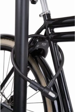 Axa Newton Kabelslot - 12mm X 60cm -BASIL Verkoop 804x1200