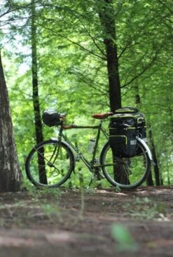 Fietstassen Dubbel Rugzak Fietstas Rugtas Bagagedrager Fiets Regenhoes Zwart Groen 60L - RHINOWALK® -BASIL Verkoop 809x1200